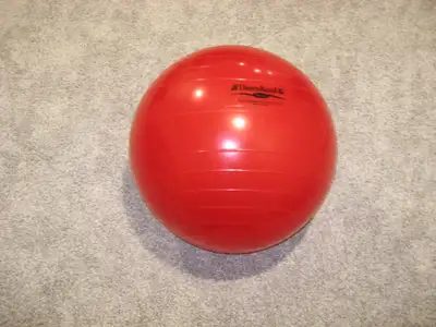 Professional Exercise Ball 55CM By Therma Band. VGC. N Kildonan., View more