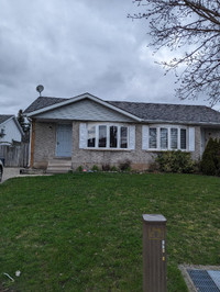 semidetached house for rent in kitchener west end
