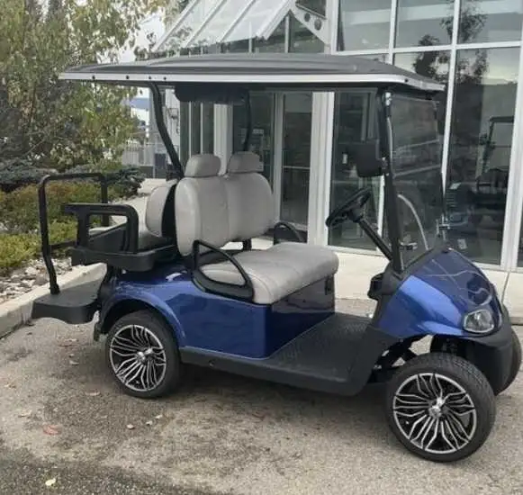 Golf Cart 4 seater lithium ezgo rxv  in Golf in Prince George - Image 4