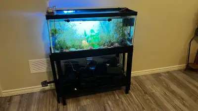 I have a 30 gallon fish tank with stand, tank size: 36x 12x 16 inches, along with 200w heater, 2 fil...