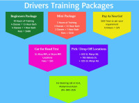 Driving Lessons Class 5