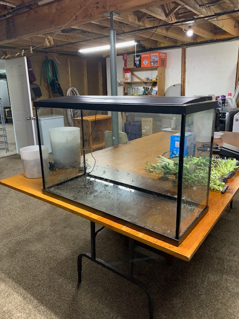 Aquarium-30 Gallon-Stand in Fish for Rehoming in North Bay