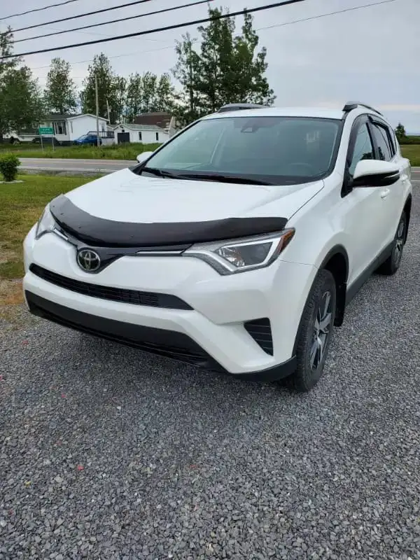 2018 Toyota RAV4 LE, Very Well Maintained
