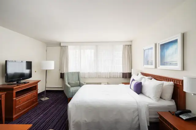Furnished and equipped studio62864376360706122