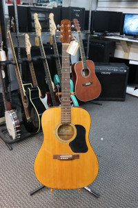 Acoustic Guitar Walden D310W (#38567-1)