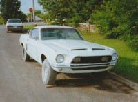 Wanted: 1968-70 Shelby GT-350 or GT-500
