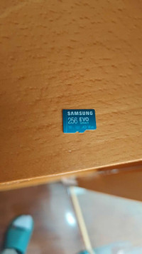 256gb Samsung Evo SD card