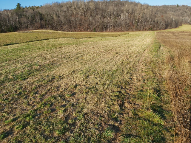 Terre agricole et forestière a vendre Lanaudiere dans Terrains à vendre  à Lanaudière - Image 2