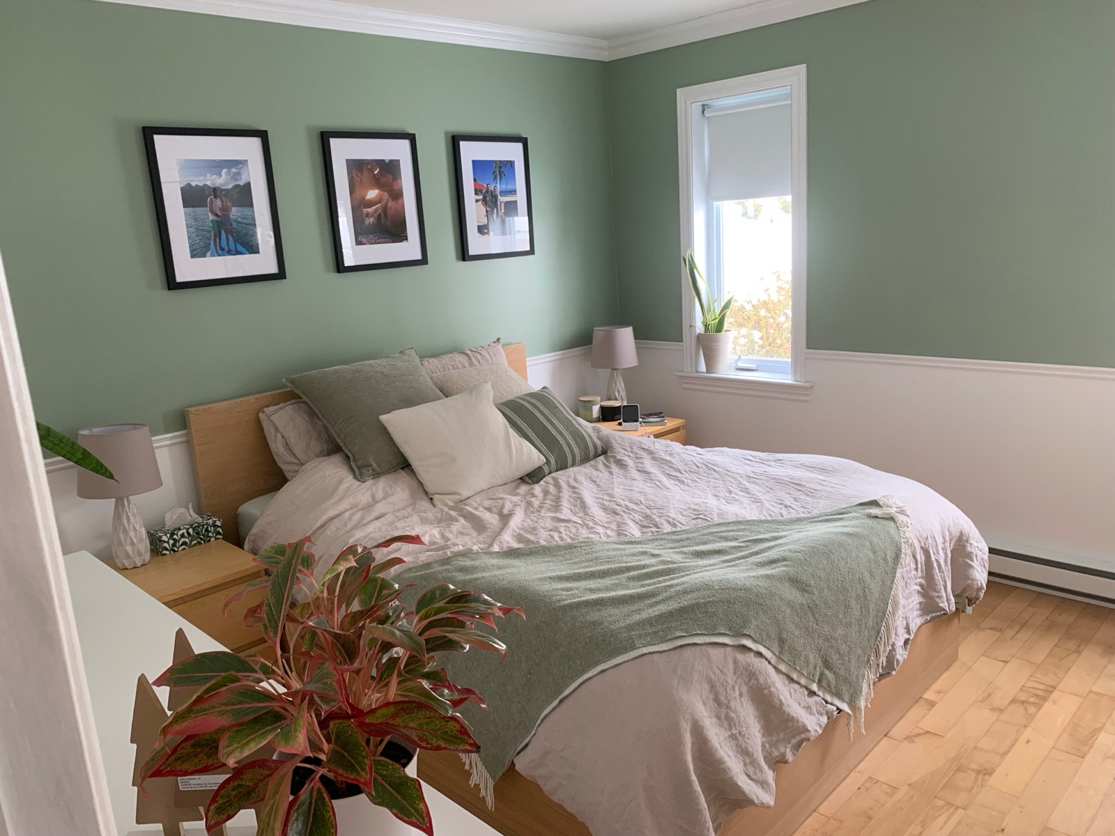 8125 Rue François Baillairgé — photo 2