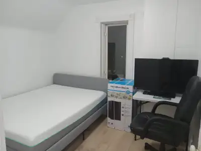 Downtown room for rent