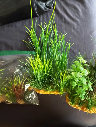 Add a splash of colour to your aquarium with these artificial aquarium plants! This set includes a v...