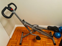 Row n Ride Fitness Machine for $110