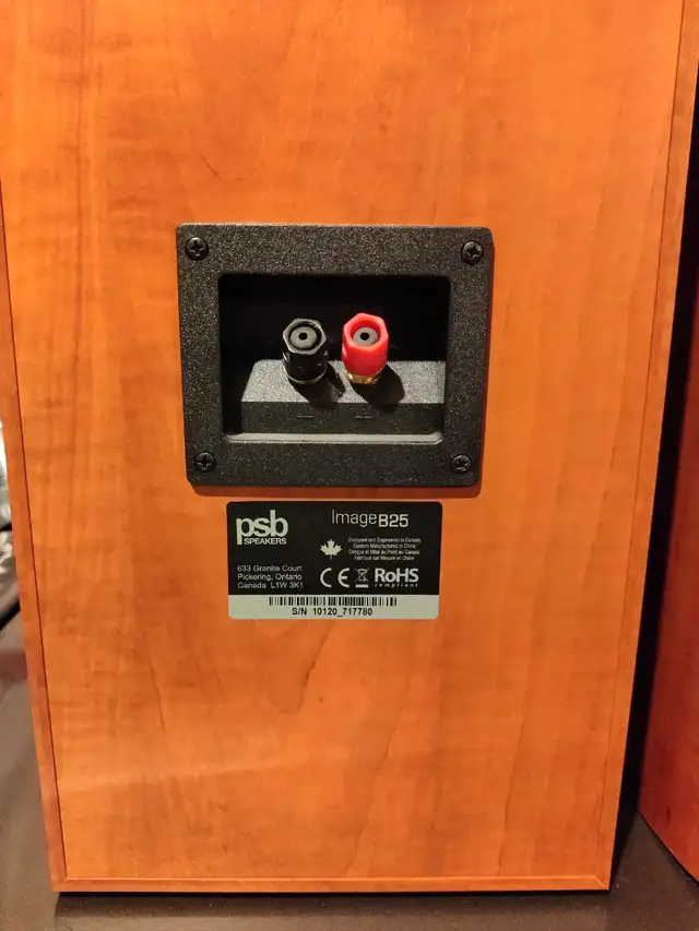 PSB Image B25 loudspeaker63234832956547122
