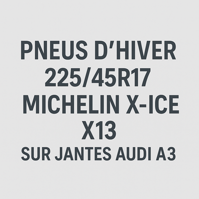 Ensemble complet de 4 pneus d'hiver Michelin X-Ice X13 Runflat (225/45R17) montés sur jantes pour Au...