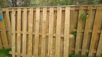 Two fence panels