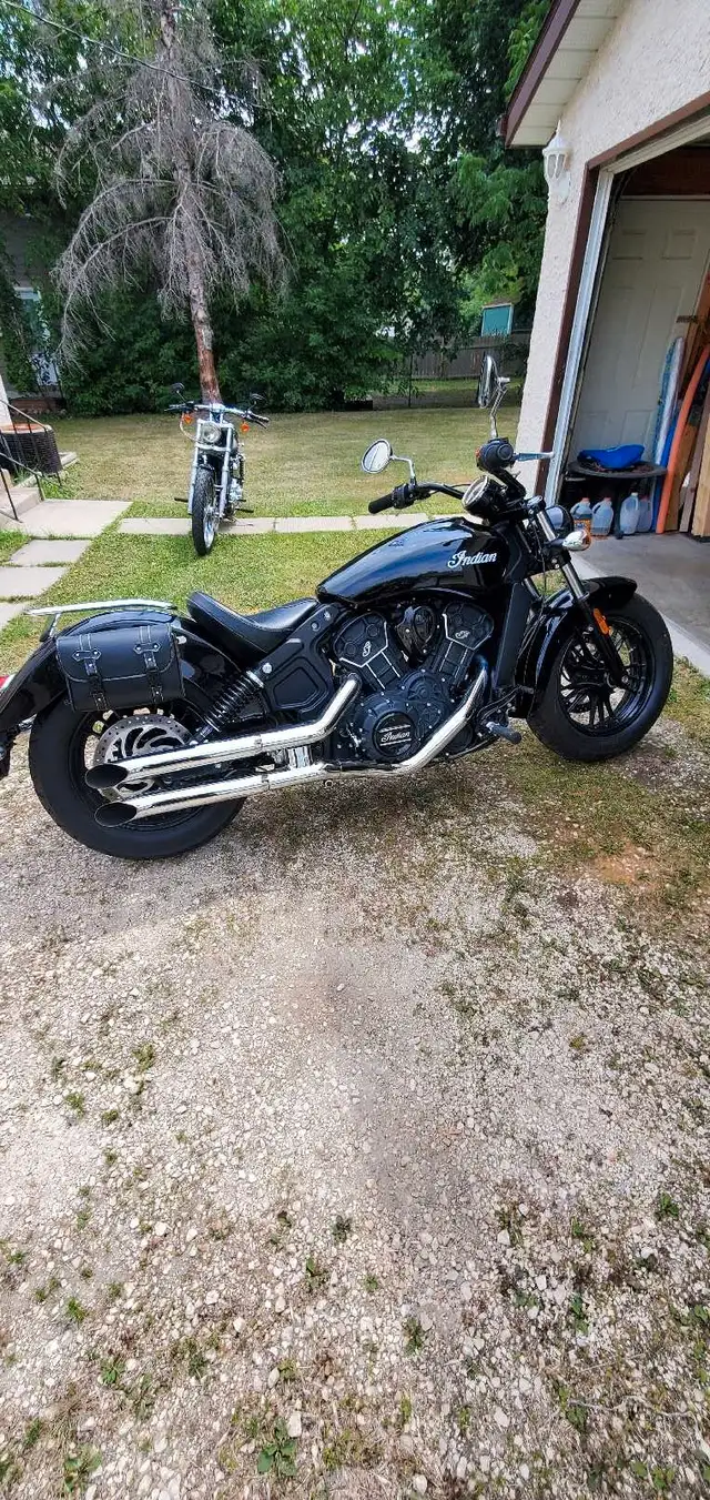 Indian Scout 60 in Street, Cruisers & Choppers in Winnipeg - Image 2