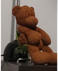 WANTED: GANZ Brown Teddy Bear Plush Toy