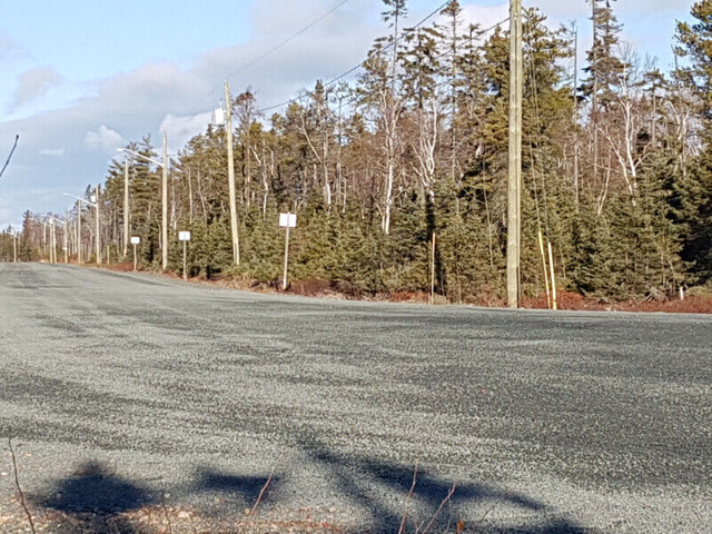 TRRAINS EN VENTE BORD DE L'EAU A POINTE DES ROBICHAUD in Land for Sale in Bathurst - Image 3