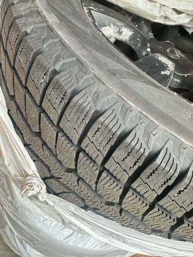 Winter Tire — photo 2