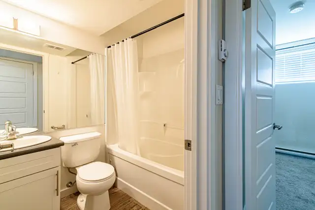 All Utilities Included 1 Bedroom Basement for Rent in Aurora62864373922945121