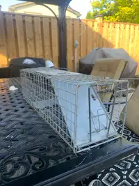 Animal trap 