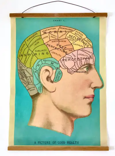 Art collection Magnifique illustration A picture of good health, View more