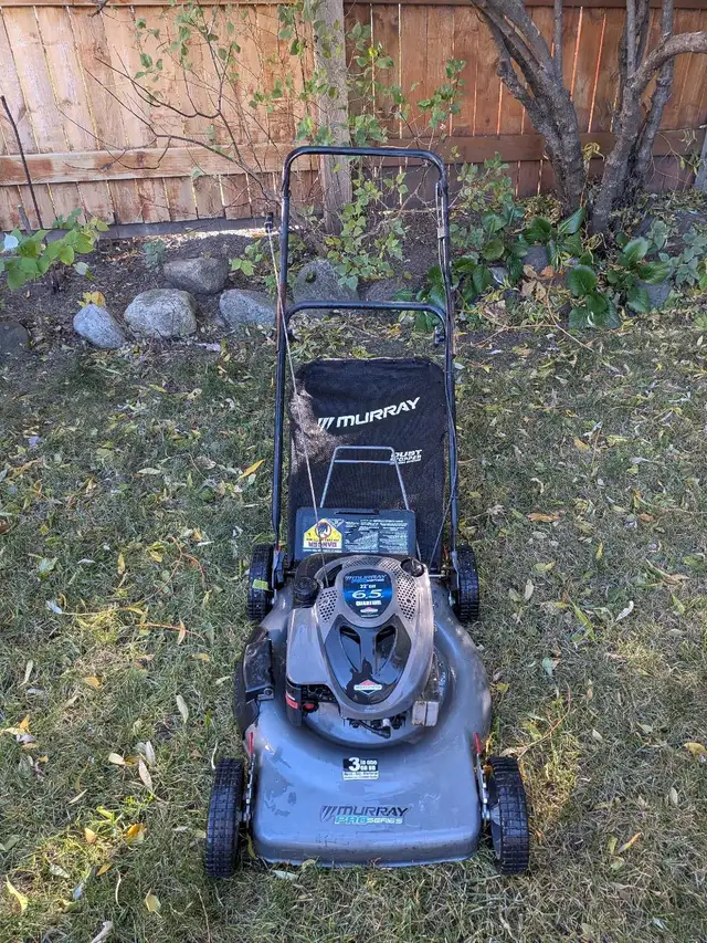 Briggs and Stratton lawn mower595974296479344641