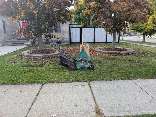 Leaf racking/leaf removal64313483955971123