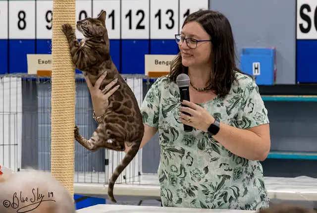 Ottawa Cat Show561546786673807367