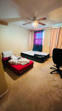 Room sharing for females with a girl near Bramalea city center