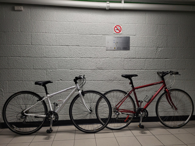 x2 Specialized SIRRUS hybrids, sizes M & XS. Shimano SORA/NEXAVE dans Randonnée, ville et hybrides  à Ville de Montréal