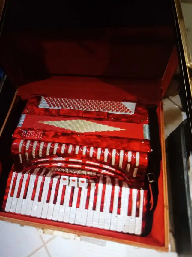 vintage musical instruments in Other in Markham / York Region - Image 6