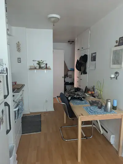 Sunny spacious studio in Rosemont - Aug 1 lease transfer