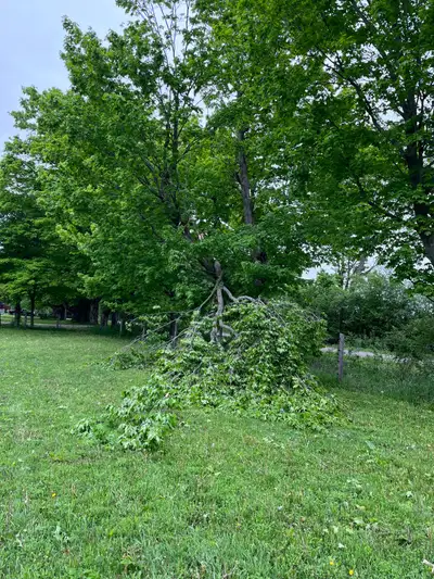 Good high building lot in front. No need to bring in fill prior to building. Hydro is right there. T...
