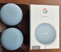 Pair of Google nest mini speakers
