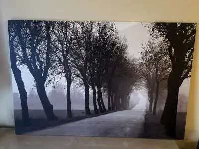 IKEA  ‘Misty Road’ canvas art, View more