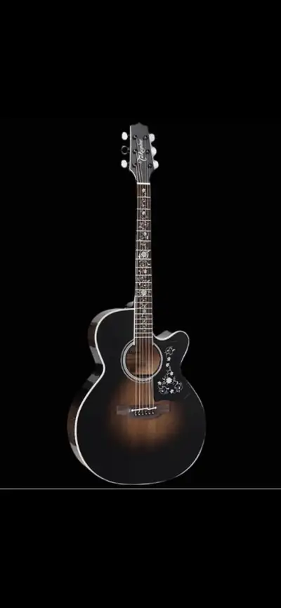 Guitar Takamine Acoustic- Brand New!, View more