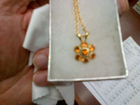 Beautiful Vintage Pendant and Chain - Gold Tone