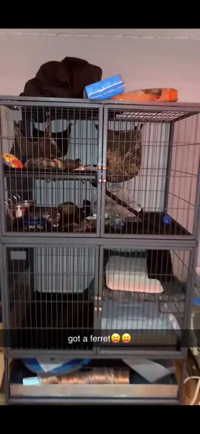 Double ferret nation cage used but in great condition