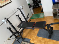 Yulong Multi-purpose Workout Bench (Weights included)