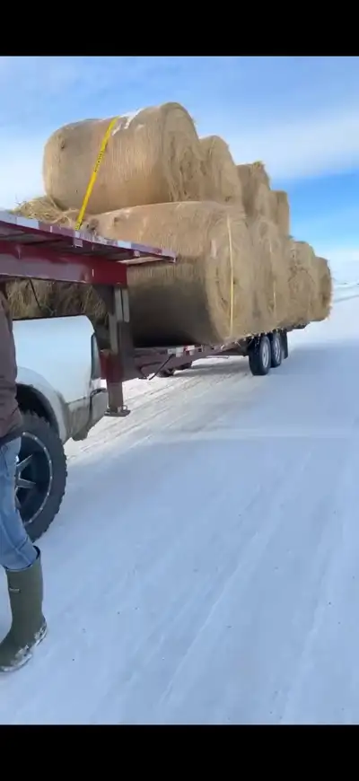 hay hauling, or miscellaneous, View more
