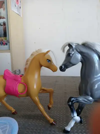 Both for 10$ ! Great deal!