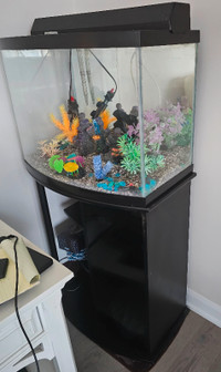 Beautiful Aquarium with stand and decorations