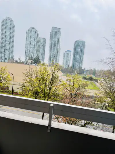 $1,000/ Month-Fully furnished 1 bedroom apartment