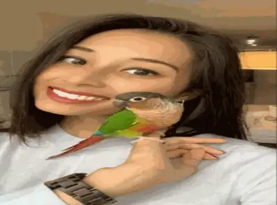 Hi, my name is Samantha Khela and I am the owner of Bird Sitting Toronto (BST). BST not only offers...