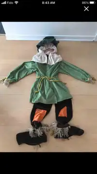 Halloween Authentic Warner Brothers Scarecrow velvet costume