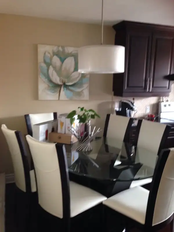 BEAUTIFUL RENOVATED TWO BEDROOM APARTMENT FOR RENT JULY 1ST