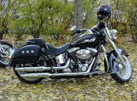 Mint 2005 Harley-Davidson Deluxe