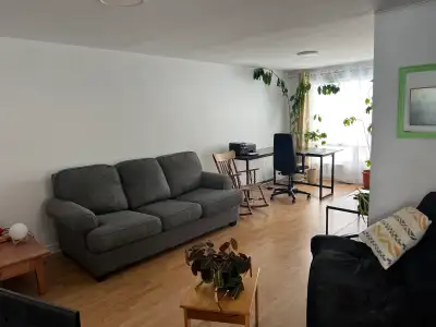 Jolie logement 1 chambre dans le centre-ville de Gatineau et près d'Ottawa. Idéal pour 1 personne ét...