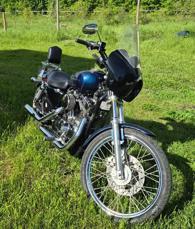 Harley-Davidson Sportster in Street, Cruisers & Choppers in Edmonton - Image 2
